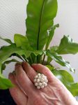 bague r&eacute;glable r&eacute;alis&eacute;e avec des perles de r&eacute;cup&eacute;ration