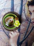 Broche hérisson réalisée à partir de divers éléments de récupération et cabochon de verre